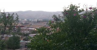 Hakkaride İlk Defa Ekilen Hatemi Ağaçları Çiçek Açtı