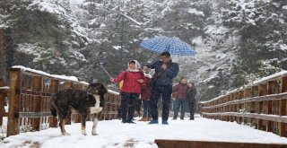 Abant Tabiat Parkı Kar Yağışıyla Beyazlara Büründü