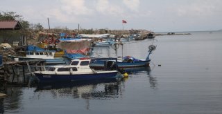 Giresunlu Balıkçılar, 1 Eylüle Hazır