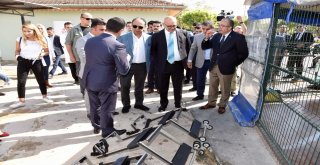 Sokak Hayvanları Geri Dönüşüm İle Hayata Tutundu