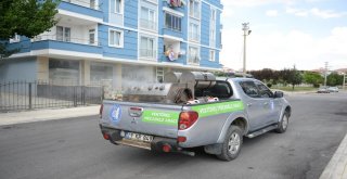 Çorumda Vektörel Mücadele Çalışmaları Aralıksız Sürdürüyor