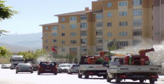 Gölbaşında Sineklerle Mücadeleye Devam Ediliyor