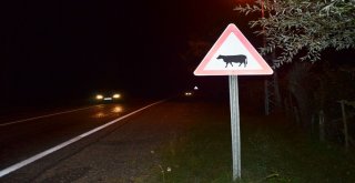 Orduda Kaza: 3 Yaralı