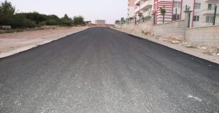 Kayyum Geldi, Siirtte Asfaltlanmayan Yol Kalmadı