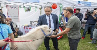 Doğa Sporları Coşkusu Bursayı Sardı