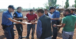 Kars Hayvan Pazarında Kurban Bayramı Hareketliliği