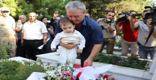 Valilik Makam Aracı Sünnet Arabası Oldu