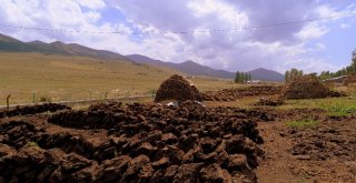 (Özel Haber) Kırsalda Tezek Geleneği