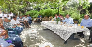 Vali Demirtaş: Akdeniz Meyve Sineğine Karşı Tüm Tedbirleri Aldık