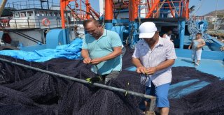 Karadenizli Balıkçılar “Vira Bismillah” Demek İçin Gün Sayıyorlar