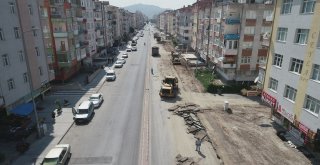 Mevlana Mahallesinde Çevre Düzenleme Çalışmaları Devam Ediyor