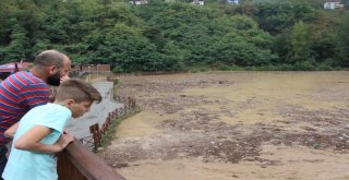 Şiddetli Yağış Sera Gölünü Çöp Ve Çamurla Kapladı