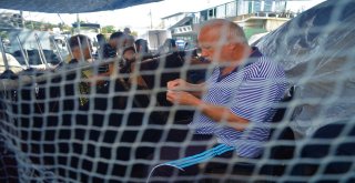 (Özel) Balıkçılardan Müjde, Denizde Bu Yıl Balık Çok