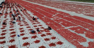 İzmir Ovaları Kırmızıya Büründü