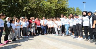 Battalgazide Kervansaray Buluşmaları Coşkusu Sürüyor