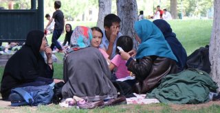 Parkta Yatan 17 Afgan Aileye Devlet Sahip Çıktı