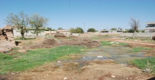 Yazın Ortasında Kışı Yaşıyorlar