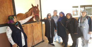 Kartepeli Kadınlar Yürüyüşte