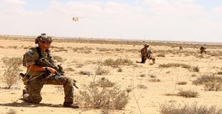 Mısır Ve Abdden Ortak Terörle Mücadele Tatbikatı