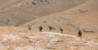 Üç İli Kapsayan Faraşin Yaylası Operasyonu Tüm Hızıyla Devam Ediyor