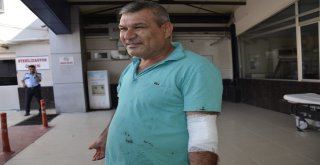 Denizlide Acemi Kasaplar İş Başında