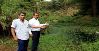 Hatayda Vatandaşların Dereye Akan Kanalizasyon Lağım Suyu Tepkisi