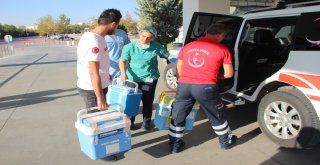 Şehit Polisin Organları 3 Kişiye Umut Olacak