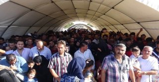 Ülkelerine Gitmek İsteyen Suriyeliler Öncüpınara Akın Etti