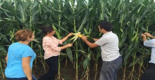 Başkan Karaosmanoğlu, ‘Tarım Desteklerimiz Türkiyeye Örnektir