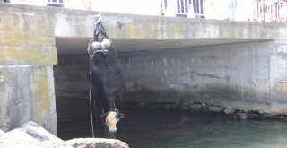 Gemiden Denize Düşen Angusu Kurtarma Operasyonu