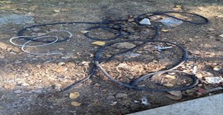 193 Bin Tllik Tuvalet 2 Gün Dayandı