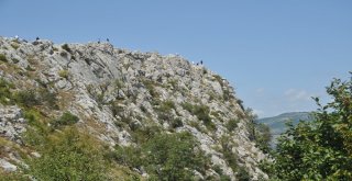 Selfie Çekmek İçin Hayatlarını Tehlikeye Attılar