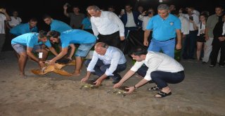 Bakan Kurum Caretta Carettaları Denizle Buluşturdu