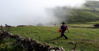 Trabzonda Herkes Seferber Oldu Onları Arıyor