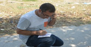 Kaçan Kurbanlık Koyunlar Sahibiyim Diyene Yediemin Olarak Verildi