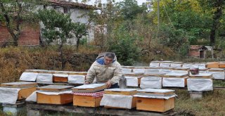 Anzer Balı İle Yarışacak