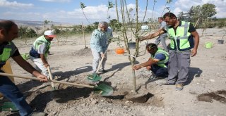 Gelecek Nesillere En Değerli Miras