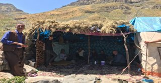 Terörün Yerini Huzura Bırakması İle Dağlar Ve Yaylalar Şenlendi