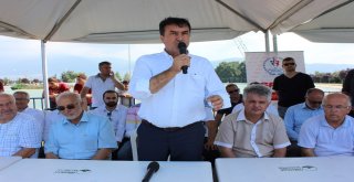 Osmangazide Kaykay Heyecanı