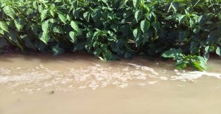 Boru Patladı, Mahsuller Su İçinde Yüzdü