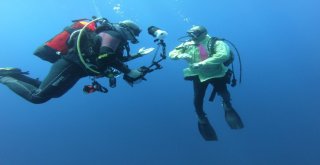 (Özel) Kravatlı Dalgıçlardan Mercan Avı