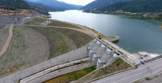 Enerji Üretimi İçin Kurulan Baraj Türkiyenin Yeni Kuş Cenneti Oldu