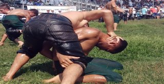 25İnci Geleneksel Sancaktepe Yağlı Güreşlerinde Başpehlivan Ali Gürbüz Oldu