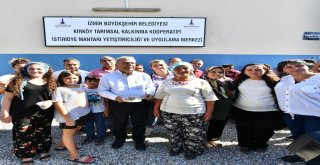 Büyükşehirden Kirazlı Kadınlara Bir Destek Daha