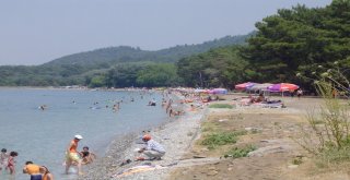 Sıcaktan Bunalanlar Plajlara, Su Parklarına Ve Milli Parka Koştu