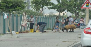 Kurban Keserken Ne Cezaya Ne De Çocuklara Aldırmadılar