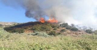 Sökede Arazi Yangını