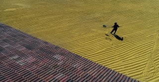 Boyabat Foto Maraton Yarışması Sona Erdi