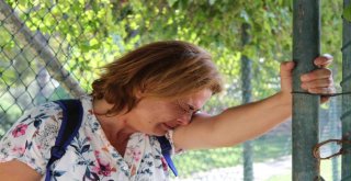 Antalyada Ağlatan Arazi İhalesi