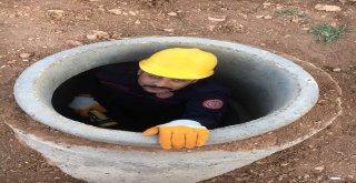 İtfaiye Erlerinden Keçi Kurtarma Operasyonu